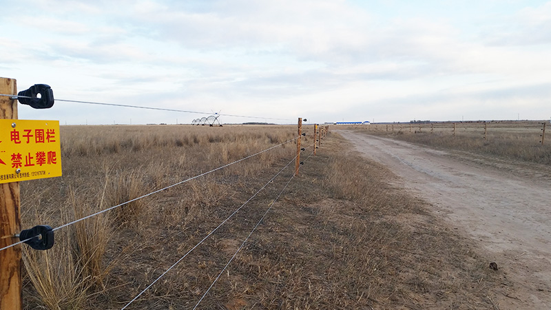 通遼謀旗畜牧局指定小牛看家電子圍欄